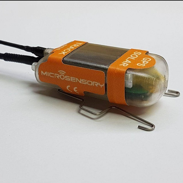 Módulo especial de células solares para rastreador de aves.
