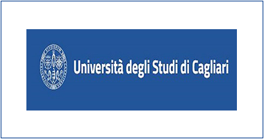 Universidades e Institutos de Investigación